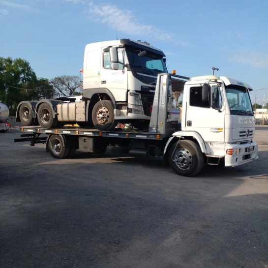 Grúa de plataforma para traslado seguro
